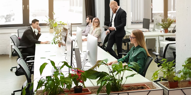 eco friendly private office